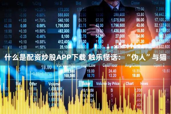 什么是配资炒股APP下载 触乐怪话：“伪人”与猫