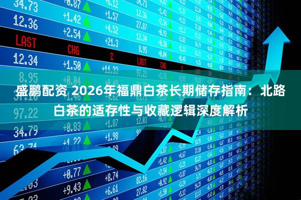 盛鹏配资 2026年福鼎白茶长期储存指南：北路白茶的适存性与收藏逻辑深度解析