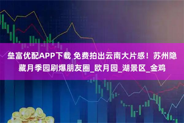 垒富优配APP下载 免费拍出云南大片感！苏州隐藏月季园刷爆朋友圈_欧月园_湖景区_金鸡